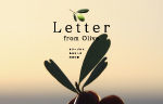 オリーブの写真詩集「Letter from Olive」販売